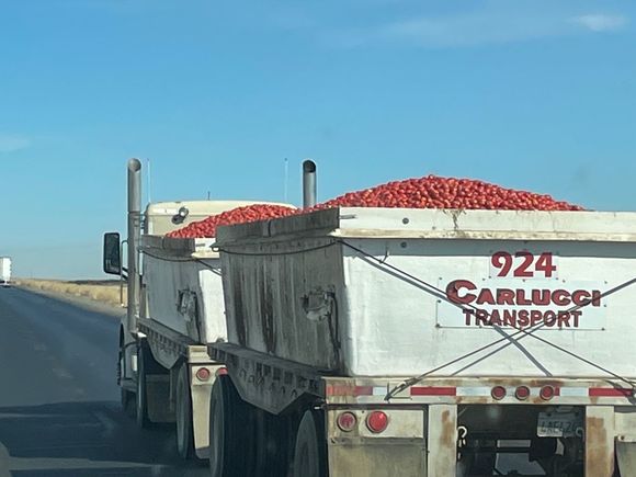 As I said, the San Joaquin Valley was and is a huge agricultural area in California.  We passed at least 20 of these trucks taking Roma tomatoes to be processed somewhere.  Today, there is no water and agriculture is no longer one of our big products.  Apples still are, but it's Apple computers and phones.