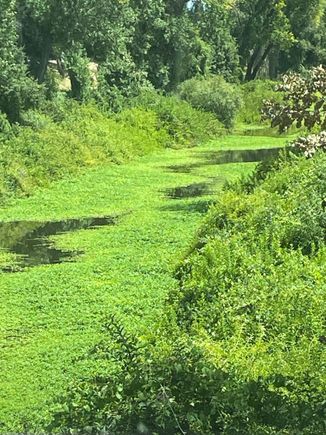 This is a shot in Discovery Park in Sacramento.  We stopped for lunch.