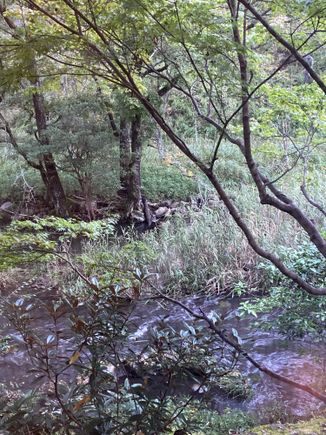 The river beside the hot spring