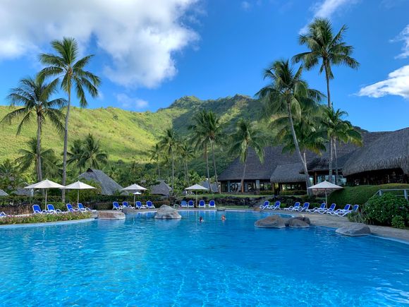 Hotel’s pool 