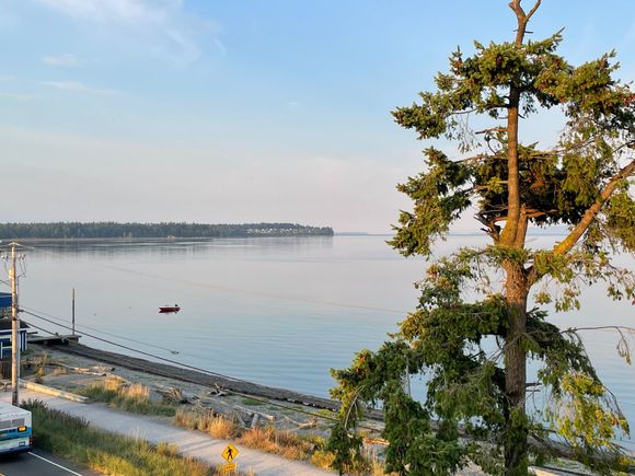 More shots of the Bay