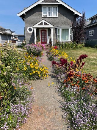 This house really took care of the garden along the walkway.