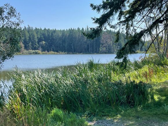 Beautiful Lake, but you can't swim in it because of toxins from years of animal pollution from farms and higher temperatures. There have been cases of dogs dying after a swim in the lake.