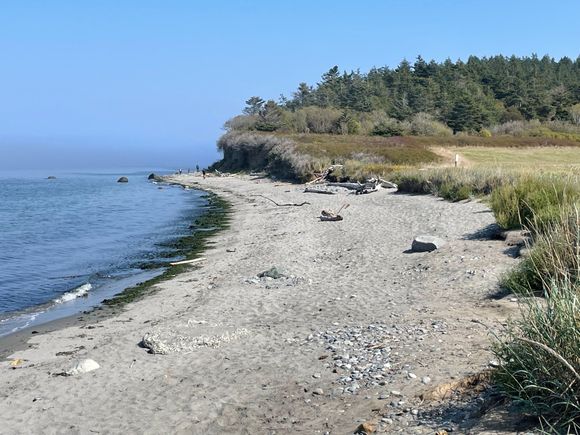North Bay County Park just west of Ft. Worden...no eagles but a great beach...