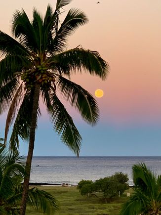 The recent harvest moon.