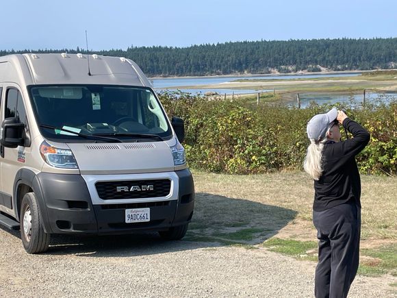 Our first sighting of eagles.  Two eagles are flying up above us and we get them in our sights.