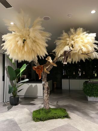 Like breakfast in a jungle at The Bled Rose Hotel