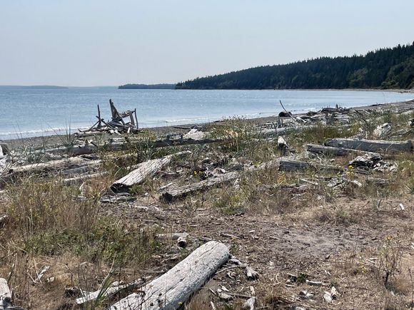 Another great Washington State beach.