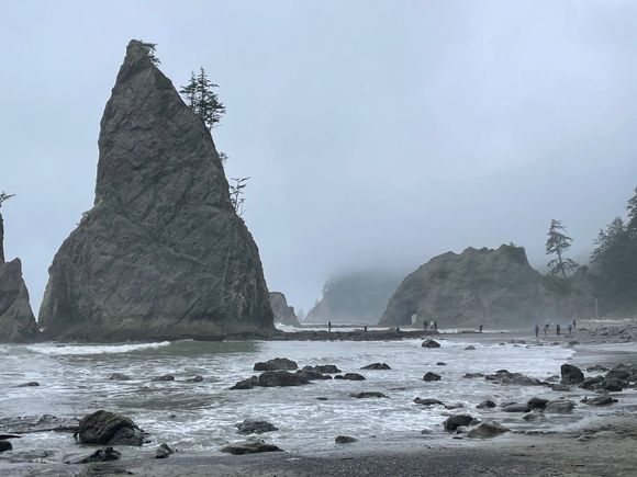I was told that just past this rock were the tide pools.
