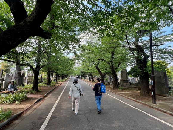 Walking through Yanaka Cemetery