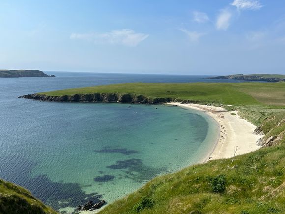 Shetland - seals sunning on the beach