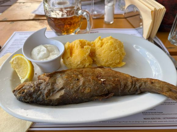 and this is Ed's trout dinner