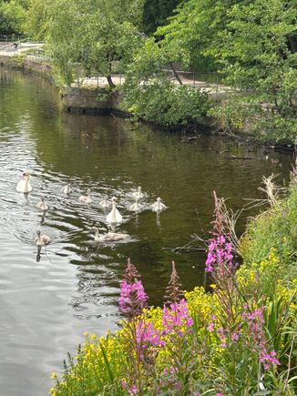 Walking along the Leith Waterway