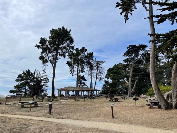 Picnic area, it has a good picnic area, but the grass is kind of wore out.