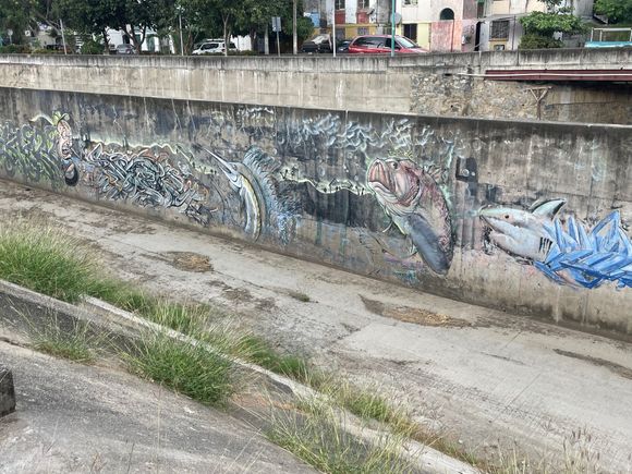 Up river along the canal.  The canal is usually pretty empty except during the rainy season, so some artists has headed to divided wall in the canal to express his or her's inner Diego