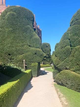 Powis - crazy overgrown topiary!