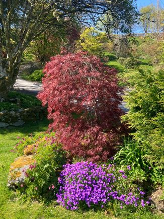 Caerau Gardens 