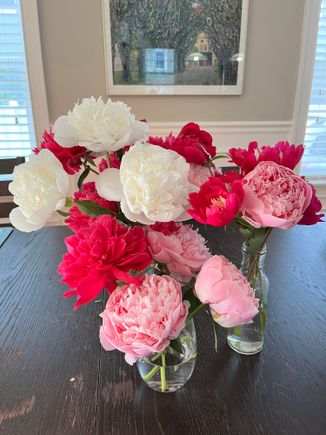 This morning's clippings