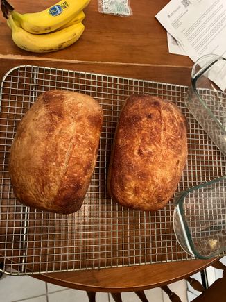 They're not perfect but I sure have a lot of people 'inquiring' if I have any extra bread.