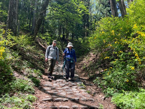 Walking with Quinlan