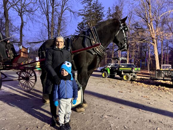 We started with a carriage ride featuring a 9 year old Percheron, Commander.