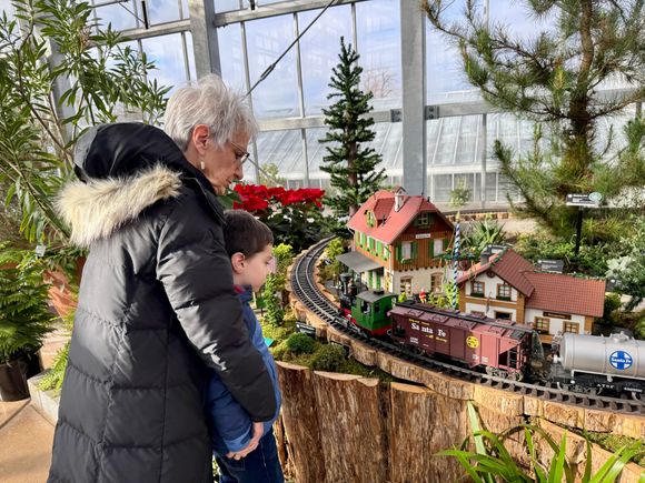 At Missouri Botanical Gardens annual poinsettia and train show yesterday morning.