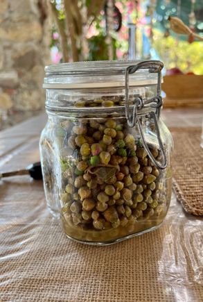 My host's caper berries