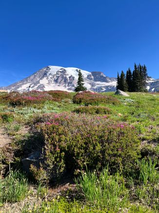 30 minutes into the hike. This view makes you forget the steep climb 
