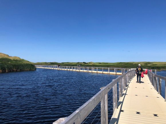 Greenwich Dunes, PEI National Park