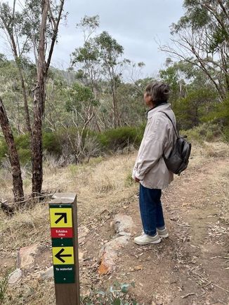 
To the “Waterfall”  (I’m calling out the fake news) 