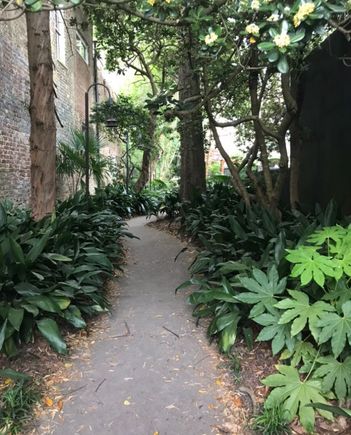 Looks like a garden at first ....