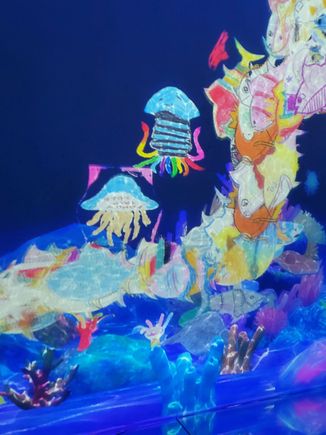 My squid now happily swimming in the Living Aquarium exhibit.