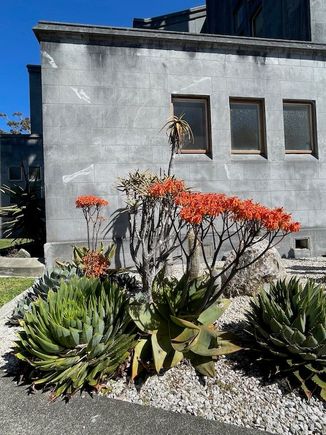 Gardens at the cathedral
