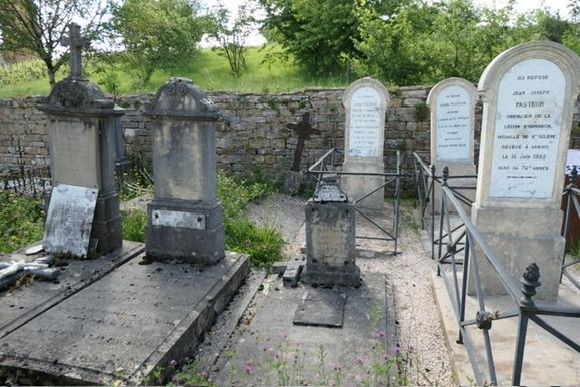 Pasteur family members 