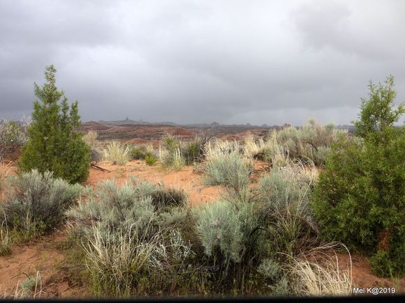 Arches National Park 