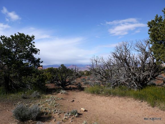 Canyonlands, Island in the Sky