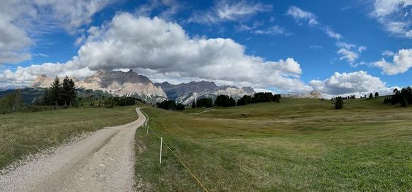 On our way back to the gondola