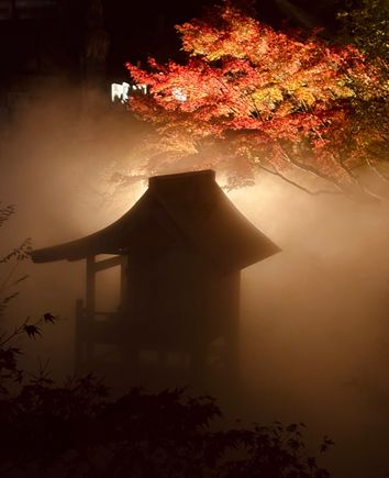 Evening Illumination