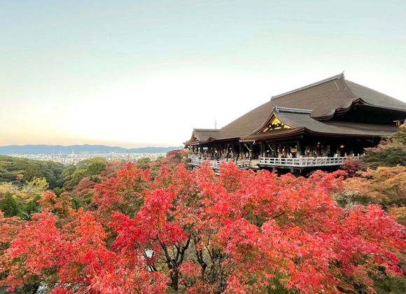 6:30 am Kiyomizu-dera 