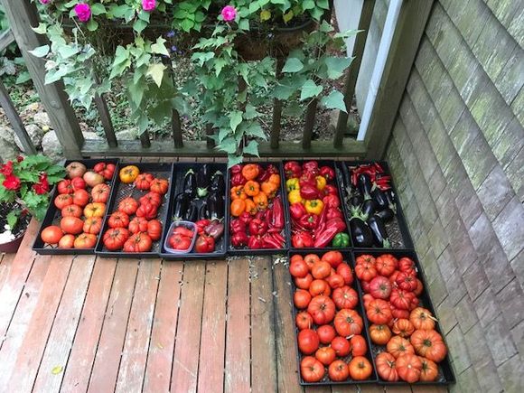 Lots to do in the next couple of days!!