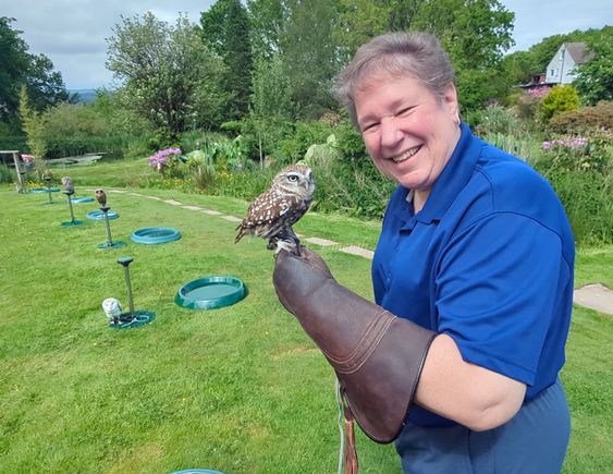 Digger, a "little owl"