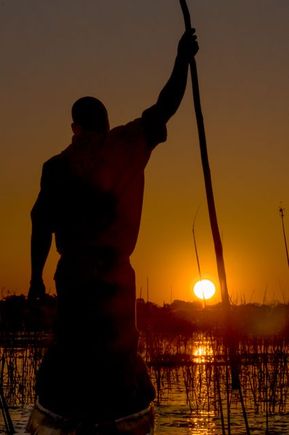 Canoe (mokoro) ride at sunset