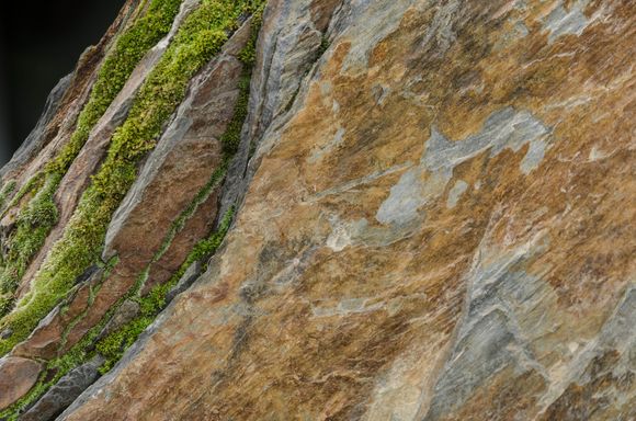 They gave the shutterbug the opportunity to get artistic.