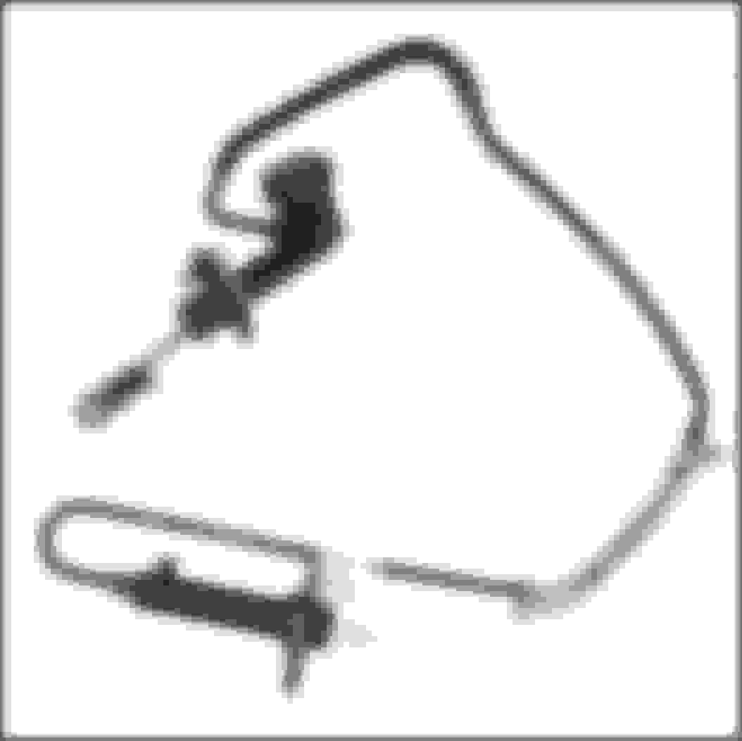 Hydraulic Clutch line Ford Truck Enthusiasts Forums