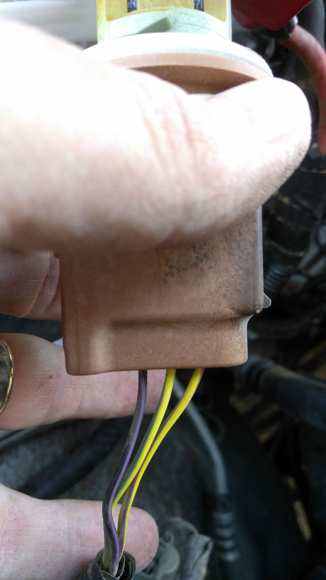 Which of these wires are the turn signal? Yellow green or yellow purple