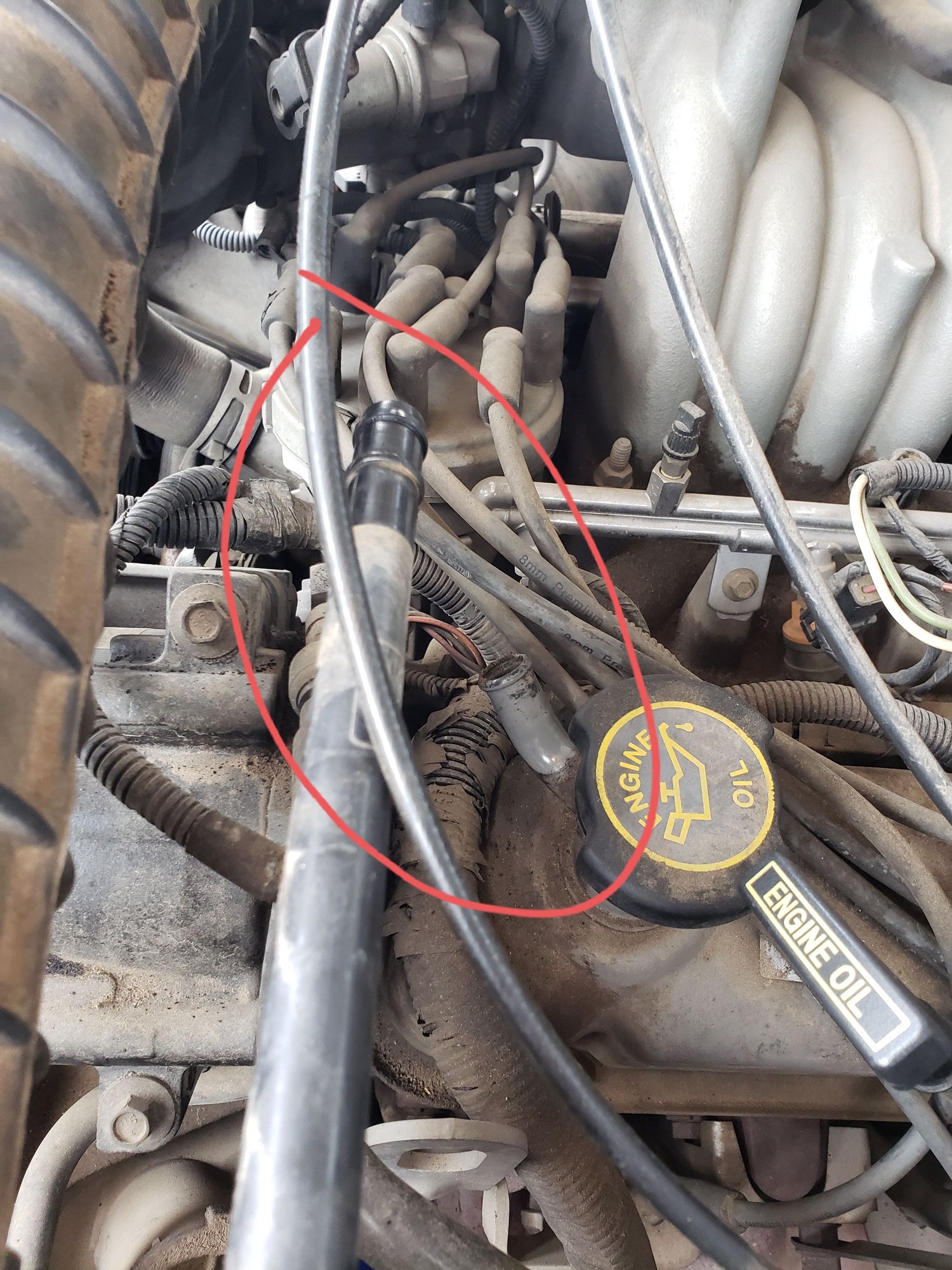 '95 Air Box Breather Hose? Ford Truck Enthusiasts Forums