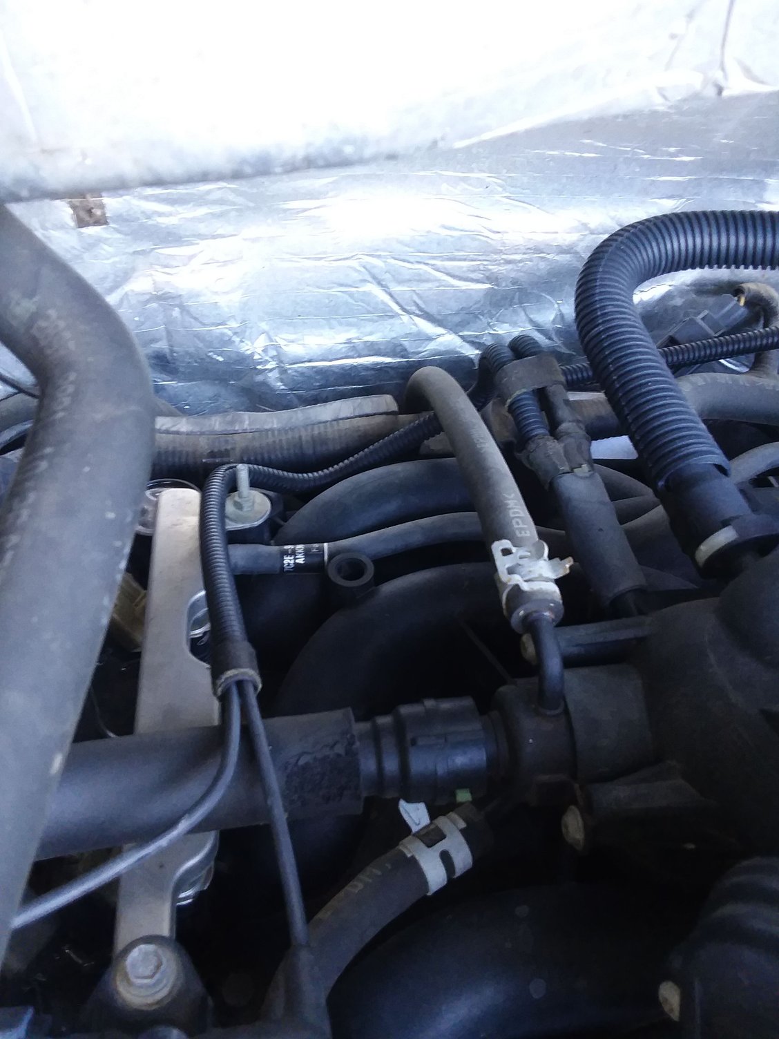 4.6 Coolant/Radiator Hoses Ford Truck Enthusiasts Forums