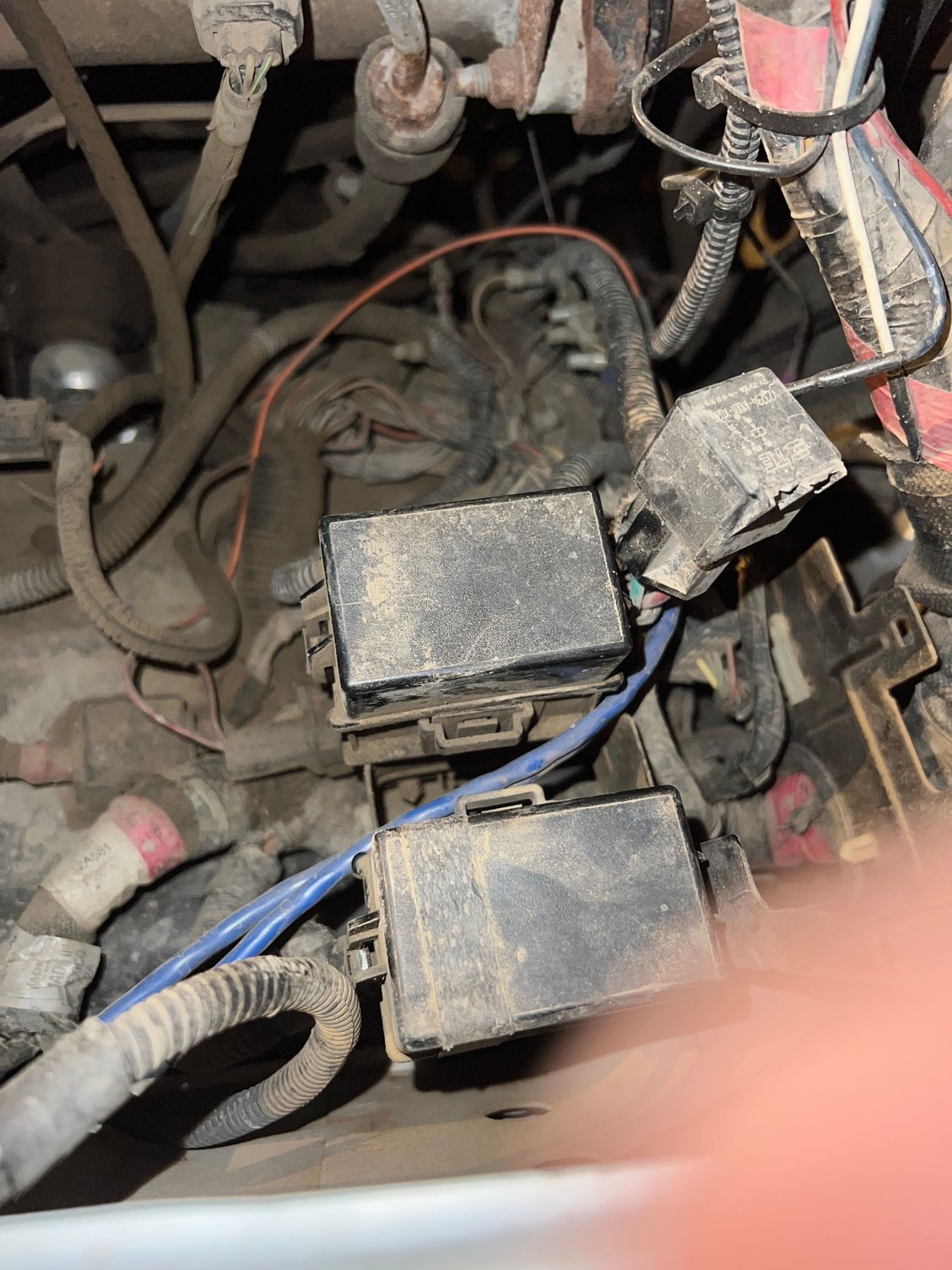 2002 F350 Trailer Light Issues Ford Truck Enthusiasts Forums