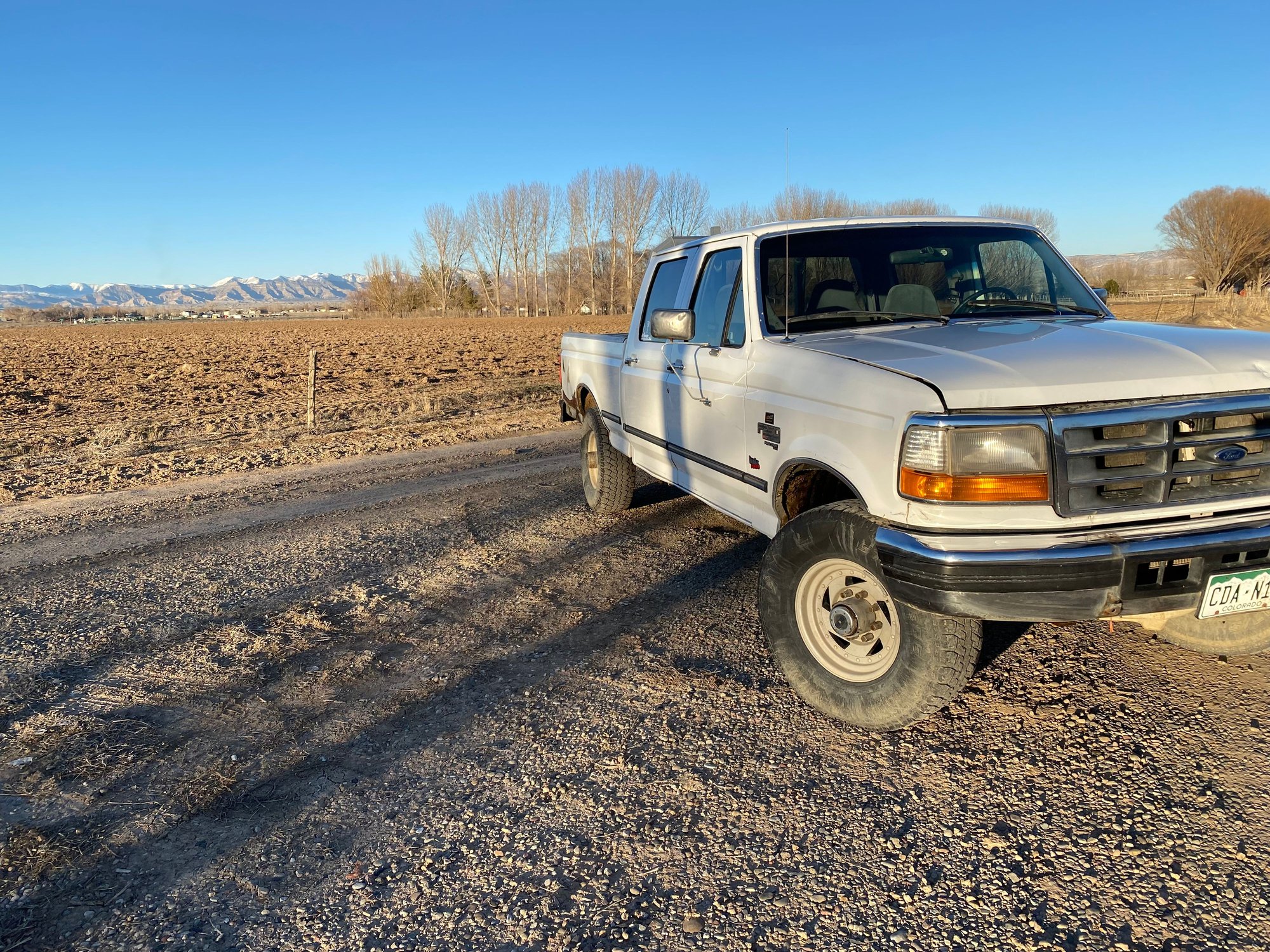 1996 Ford F-250 - 1996 7.3 for sale - Used - VIN 00000000000000000 - 117,000 Miles - Other - 4WD - Manual - White - Grand Junction, CO 81524, United States