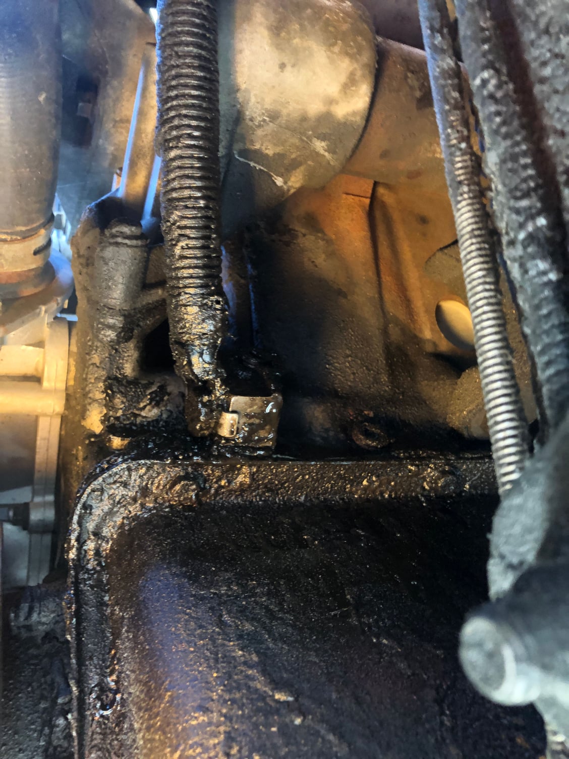 What is it - Oil leak front of engine: Pictures :) - Ford Truck 7.3 Oil Leak Front Of Engine